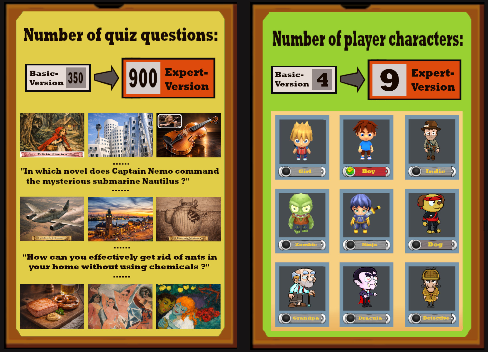 Scope of the expert version